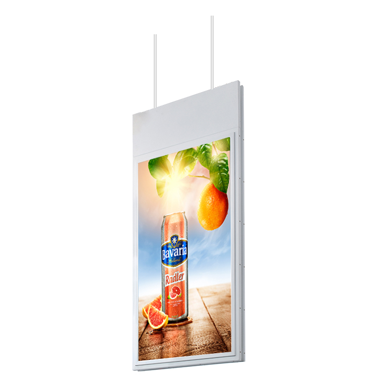 55-inch Hanging Double-Sided Digital Signage (Model-DPD550) - Image 5